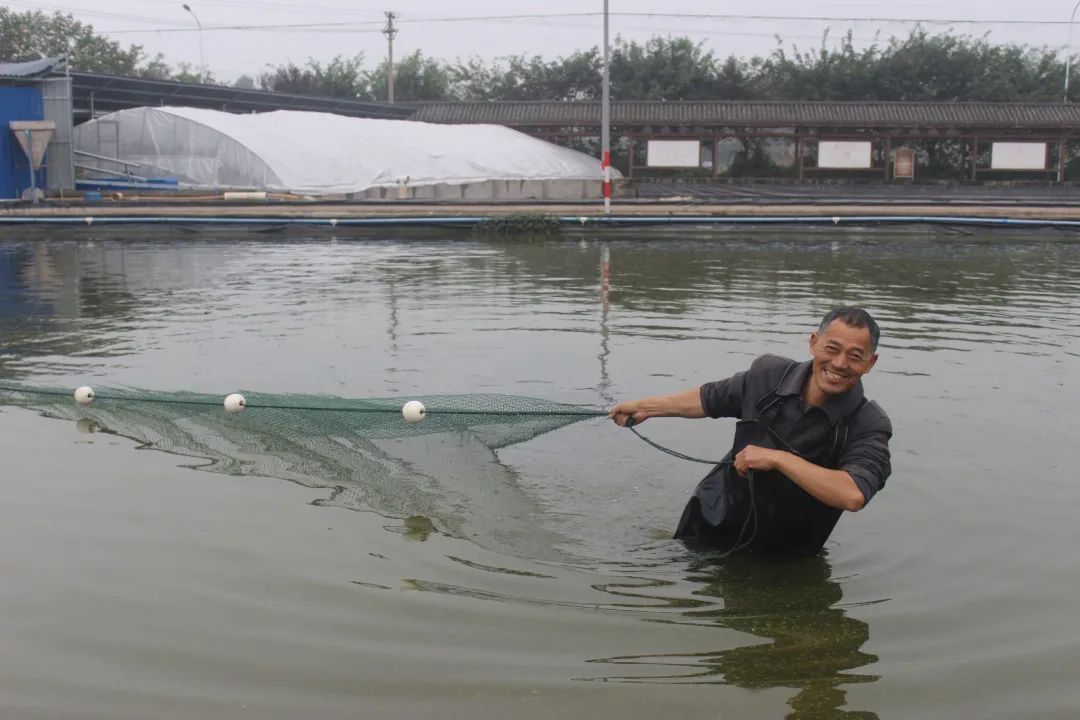 臺企特色水産養殖 助力瀘縣鄉村建設