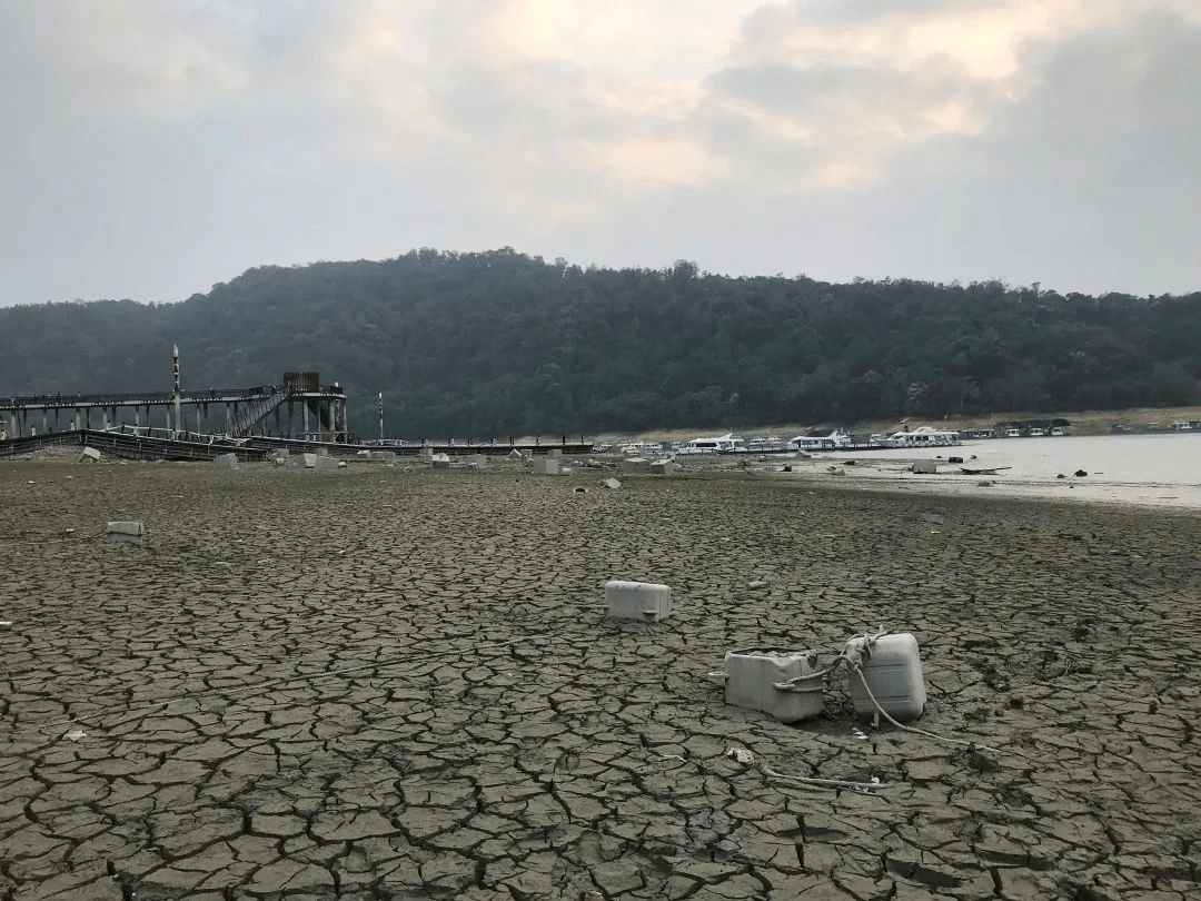 “看臺海”網友去了日月潭 結果...