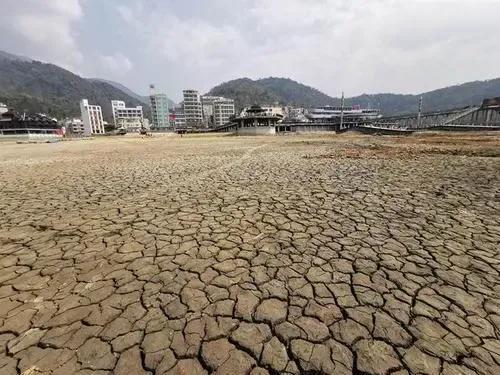 專訪唐永紅：蔡英文率眾求神賜水的政治表演秀太幼稚