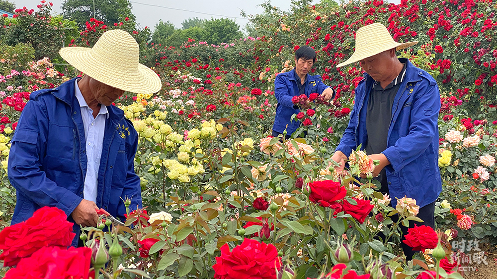 習近平赴河南南陽考察，為何關注這些名人、名産？