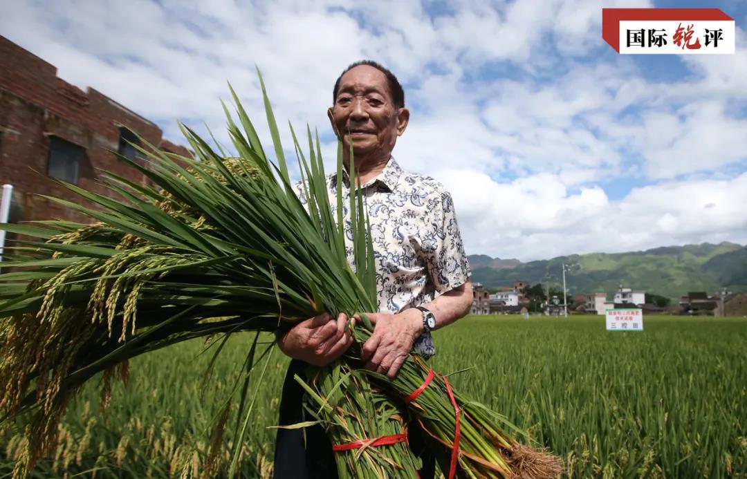 國際銳評：世界為何刷屏懷念袁隆平