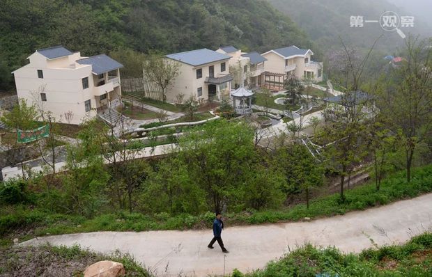 鑒往知來：總書記來到秦嶺，關注山清水秀有深意