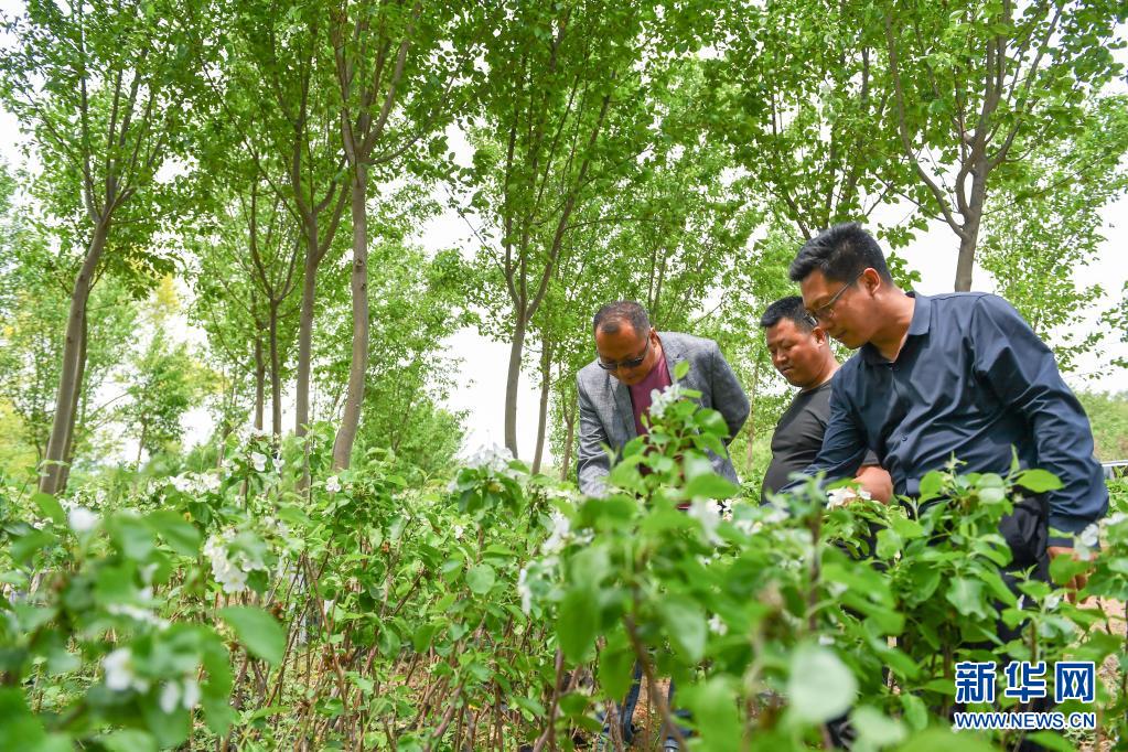 始終成為全國人民的主心骨——習近平總書記在慶祝中國共産黨成立100週年大會上的重要講話為黨的建設新的偉大工程指明方向