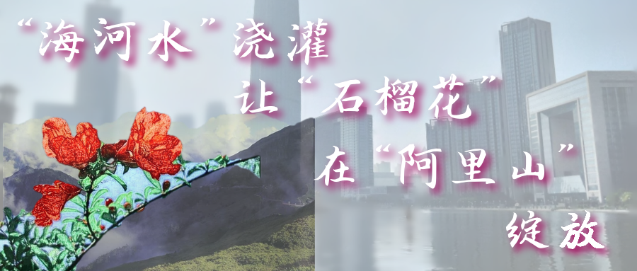 讓“石榴花”在“阿里山”綻放 臺企助力新疆脫貧攻堅