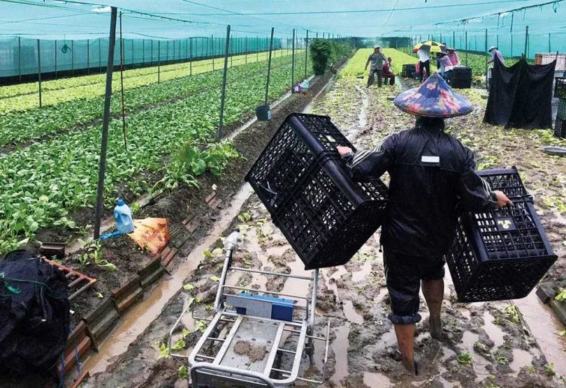 漲漲漲！台灣痛苦指數創8年新高