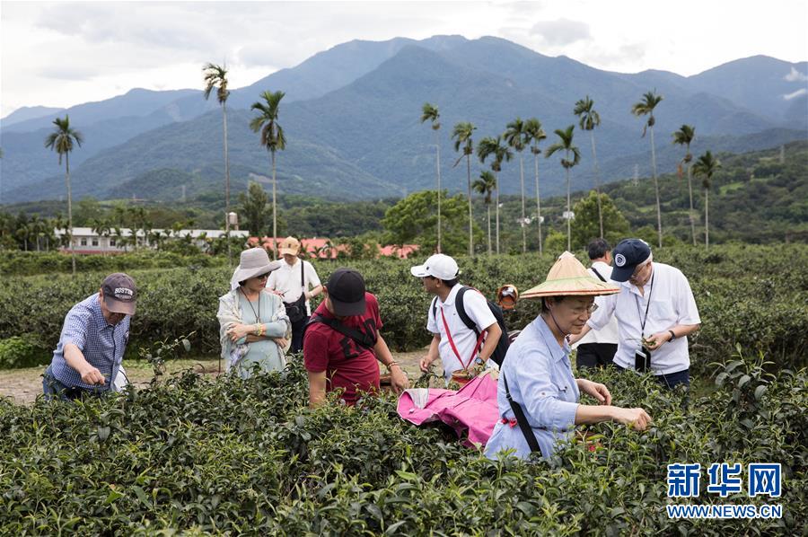 特寫：疫情趨緩 花蓮旅遊期待轉機