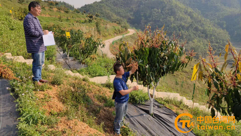 黔西南州興義市南盤江鎮出實招助力臺企擴産增收