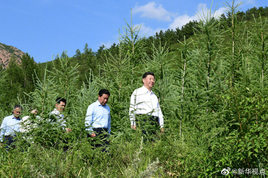 習近平深入喀喇沁旗林場農村考察調研