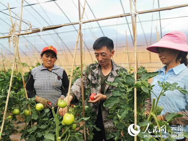 5萬到2000萬，雲南這個山區合作社7年銷售額增長400倍