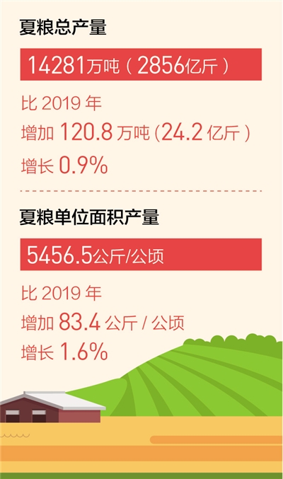 夏糧産量再創新高 為決勝全面小康、決戰脫貧攻堅進一步夯實基礎