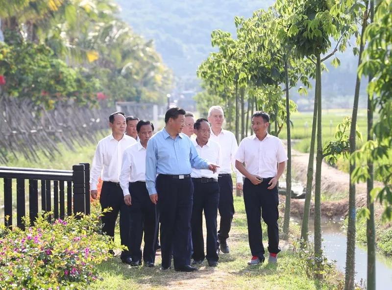 民以食為天，習近平心繫中國飯碗