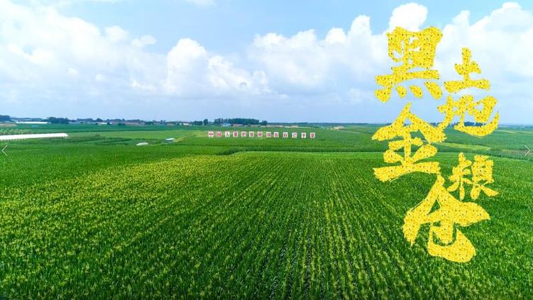 習近平吉林行丨首站來到梨樹縣國家綠色玉米生産基地