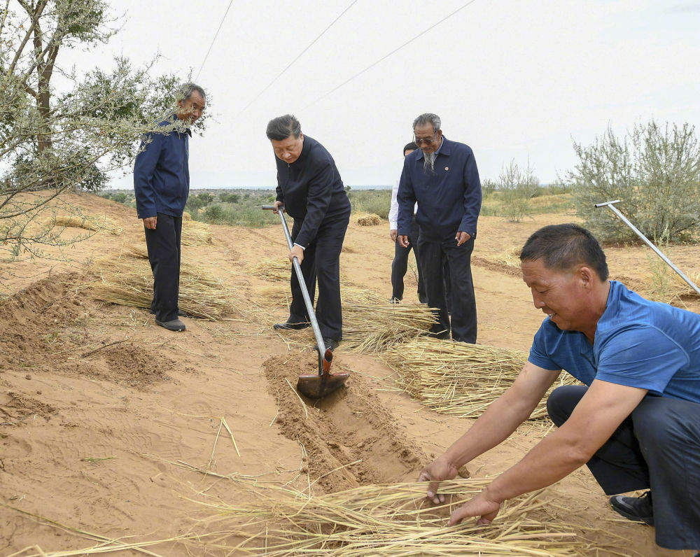 習近平甘肅之行點亮富民興隴新“色彩”