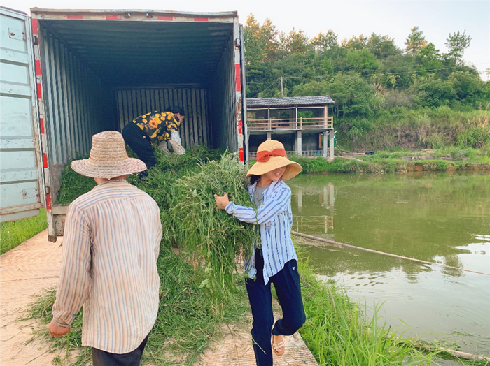 90後海歸女碩士返鄉當職業農民，認真的嗎？