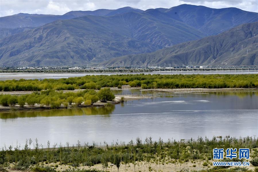 荒漠變綠洲 窮鄉變富地——雅魯藏布江山南段40年造林治沙報告