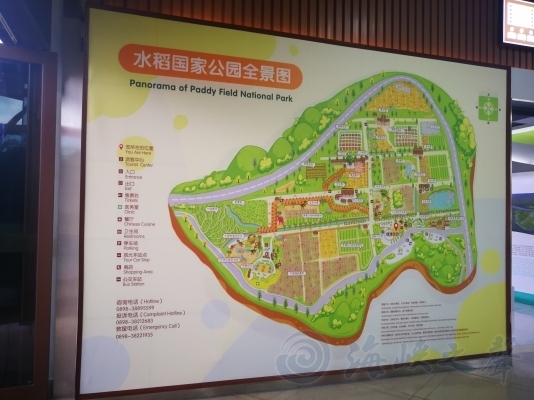 三亞水稻國家公園“恐龍+水稻”感受南繁科技