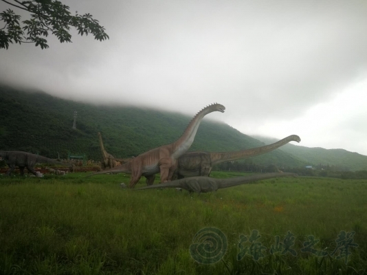 三亞水稻國家公園“恐龍+水稻”感受南繁科技