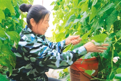 庫布其： 風沙變風景 沙子變金子