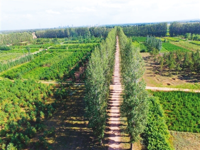 庫布其： 風沙變風景 沙子變金子