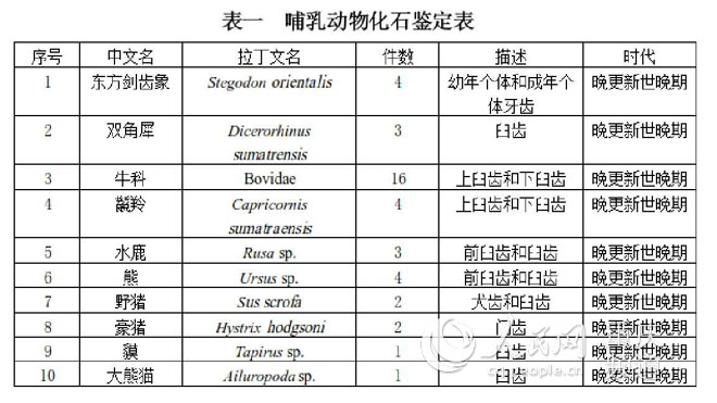 圖片默認標題_fororder_LOCAL201808131220000535942461807