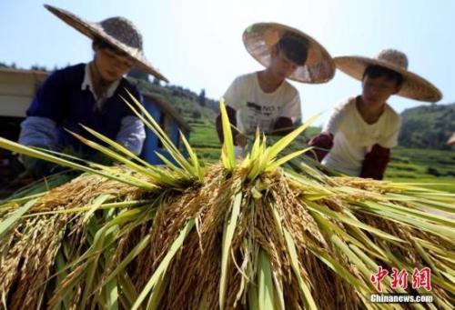 中央部署脫貧攻堅作戰圖 2020年要實現這些民生目標