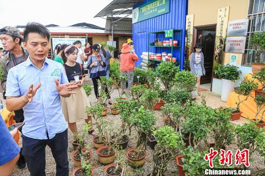 “中國茉莉之鄉”廣西橫縣借“一帶一路”飄香世界