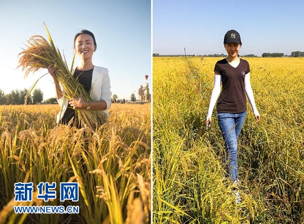 愛紅粧　更戀稻香——吉林兩位返鄉女大學生的“稻夢空間”