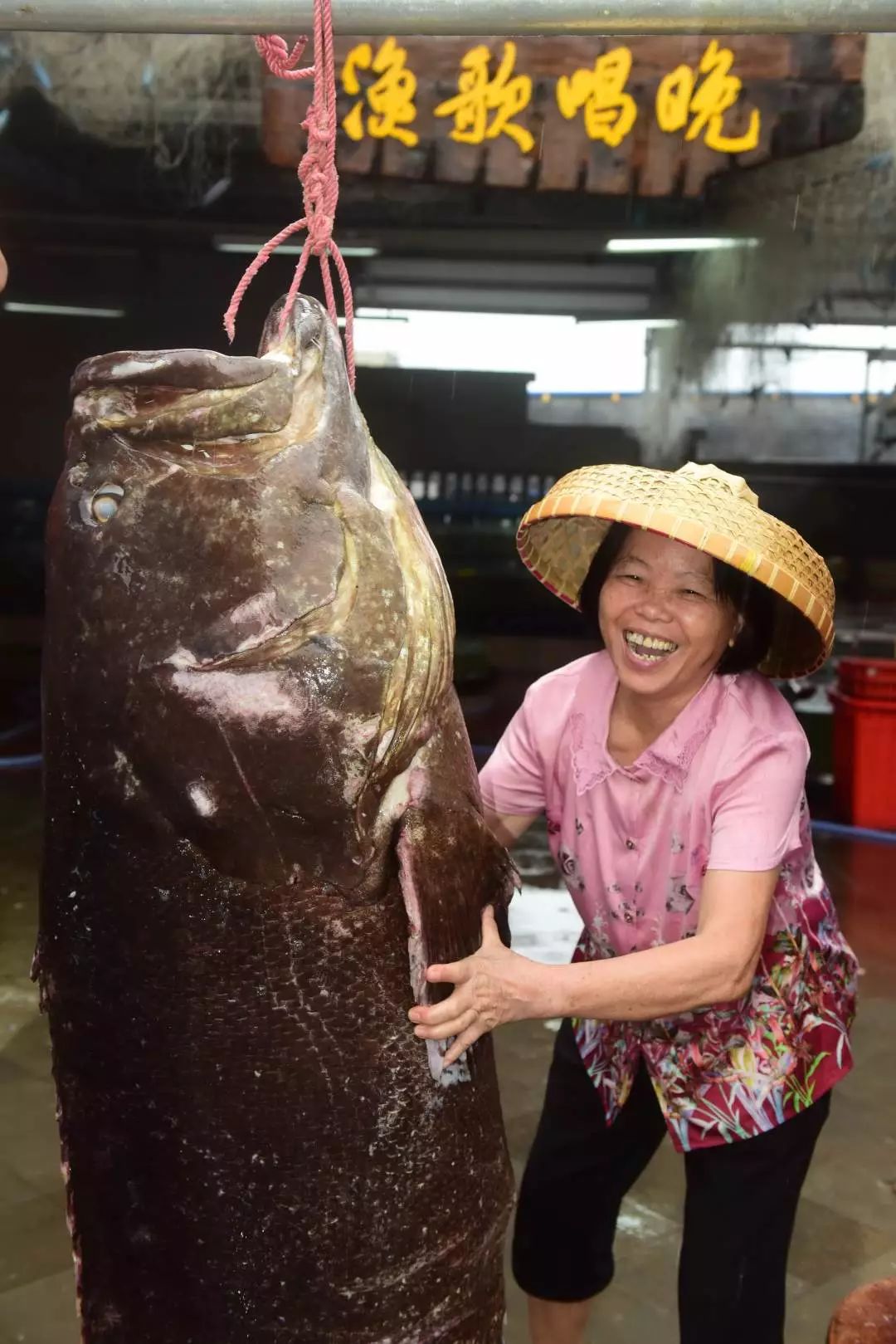 《中國（海南）自由貿易試驗區總體方案》今天正式公佈