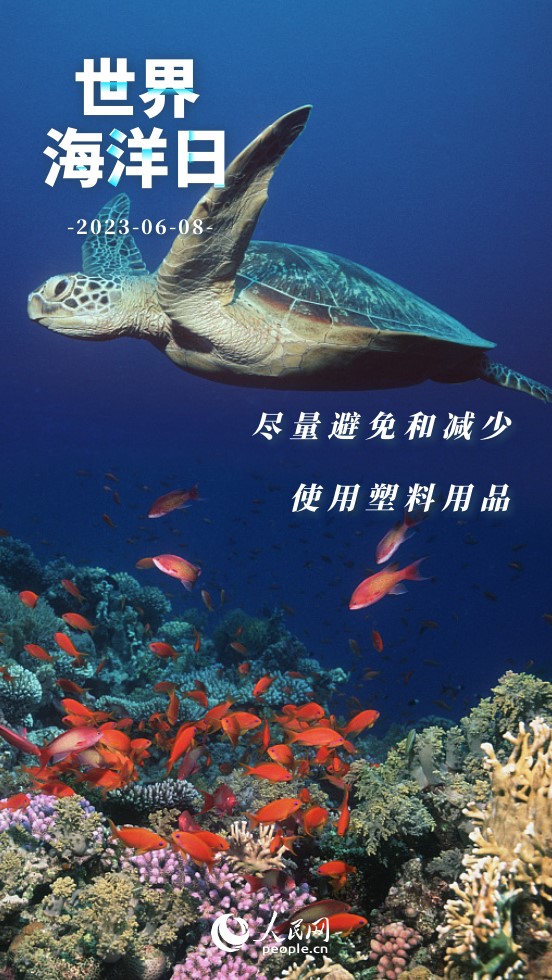 世界海洋日｜保護海洋 我們能做些什麼？