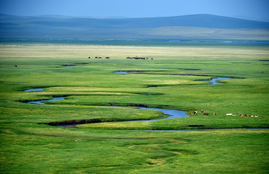 潮頭觀瀾丨祖國北疆的綠色答卷