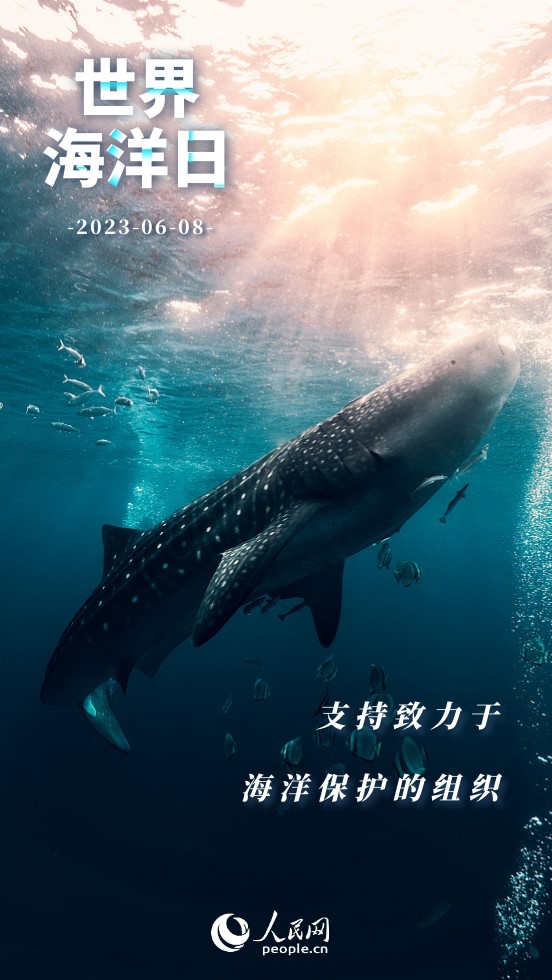 世界海洋日｜保護海洋 我們能做些什麼？