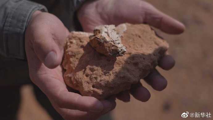 內蒙古發現約1.25億年前恐龍化石