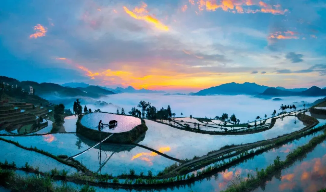 “浙”裏山區26縣——永嘉