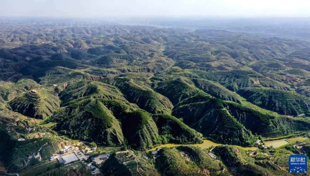 大河上下滿目新——貫徹落實黨的二十大精神加強黃河流域生態保護觀察