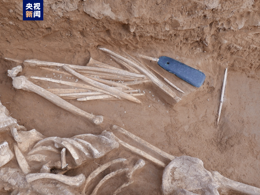 陜西發現仰韶晚期大型環壕和成人墓地
