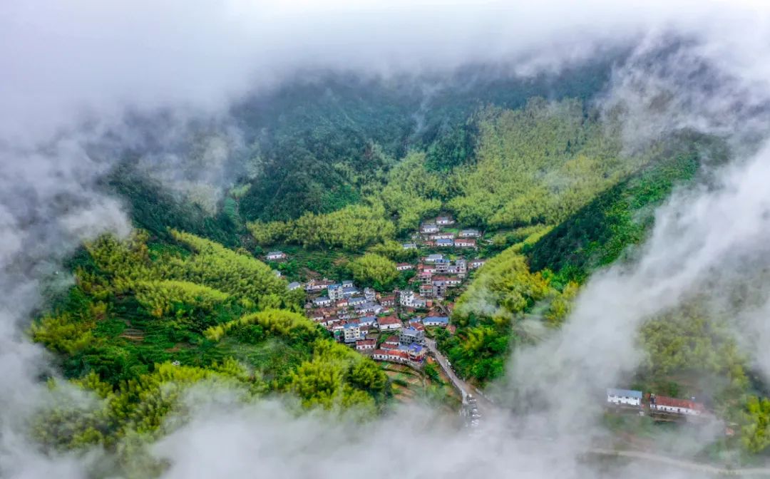 打卡浙西南小城，帶你過一個治愈係夏天