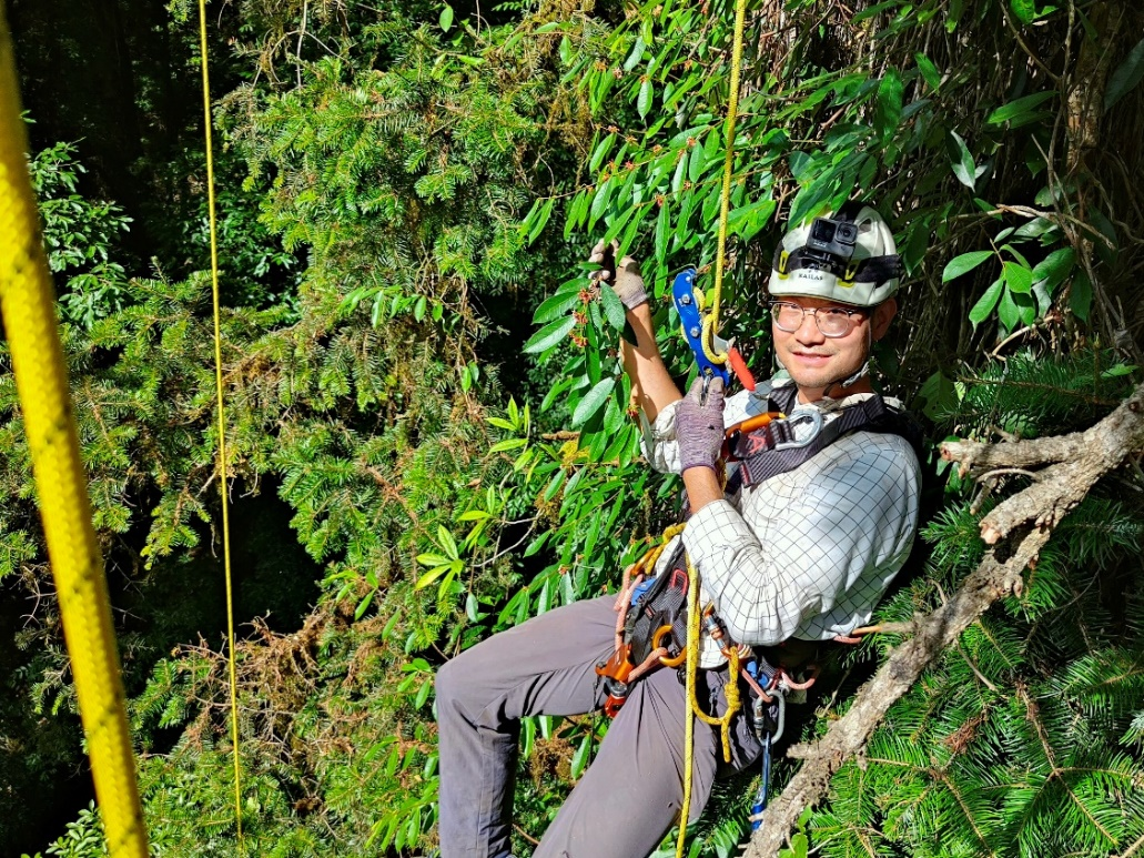 尋找中國巨樹丨83.4米！ 中國巨樹首次攀測綜合科考完成