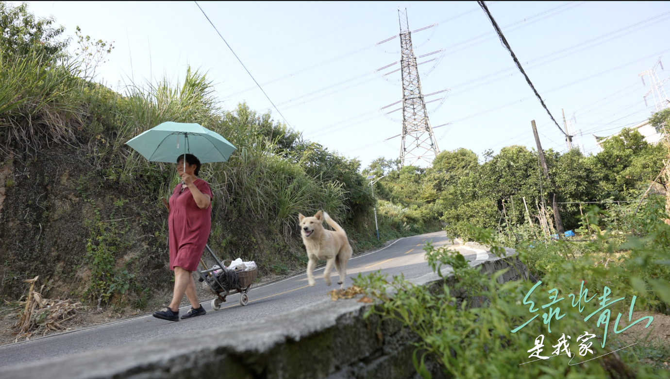 “壩頭第一村”的長江保衛戰