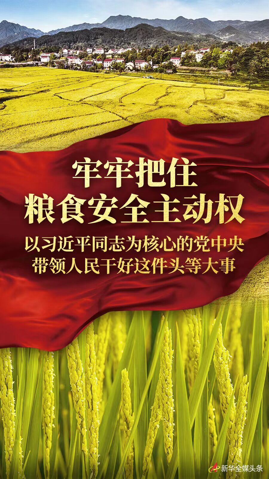 牢牢把住糧食安全主動權——以習近平同志為核心的黨中央帶領人民幹好這件頭等大事