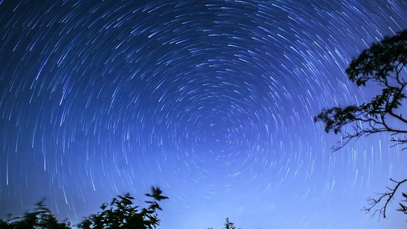 星空璀璨 閃耀竹海夜空