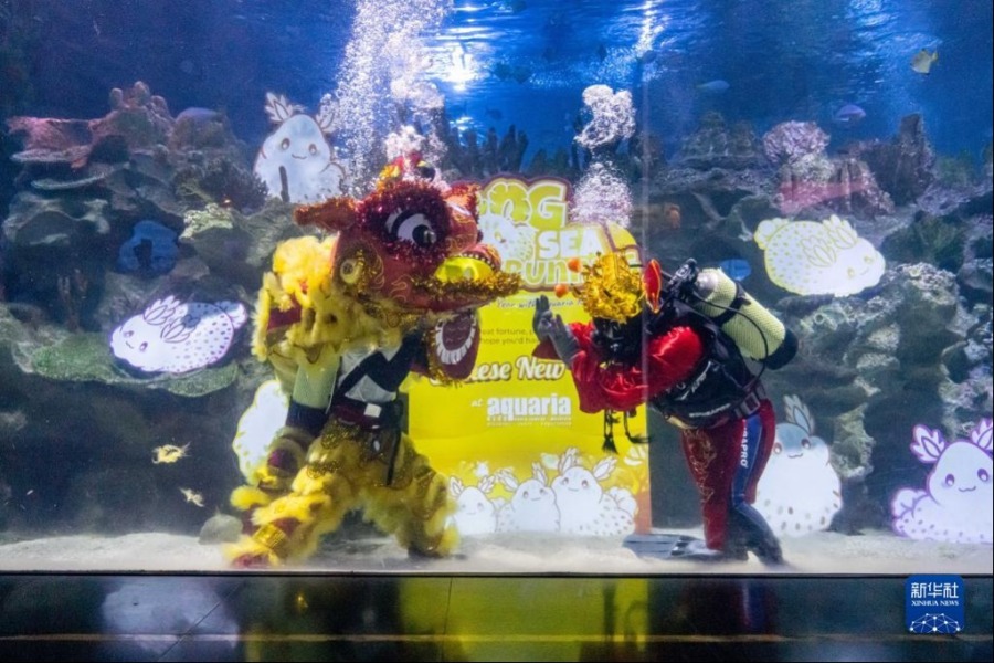 1月18日，潛水員在馬來西亞吉隆坡城中城水族館進行水中舞獅和“財神”拜年表演。新華社記者 朱煒 攝