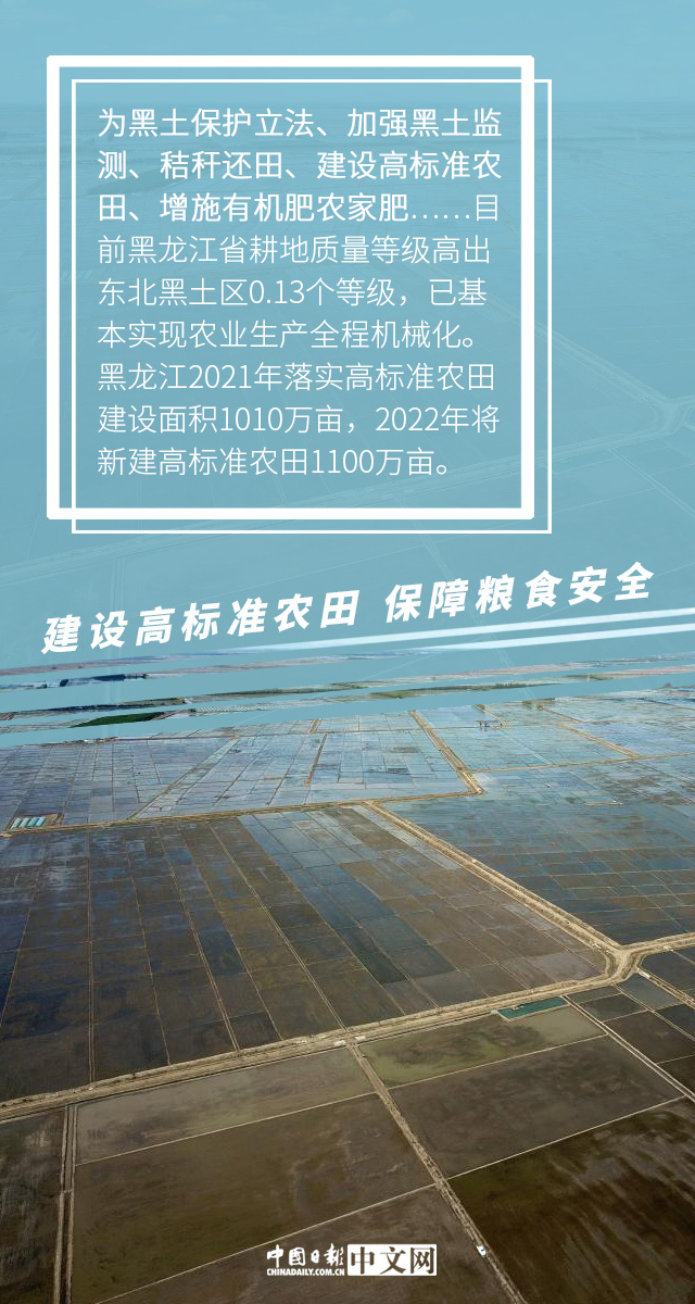 【圖説中國經濟】推進高標準農田建設 夯實糧食安全基礎