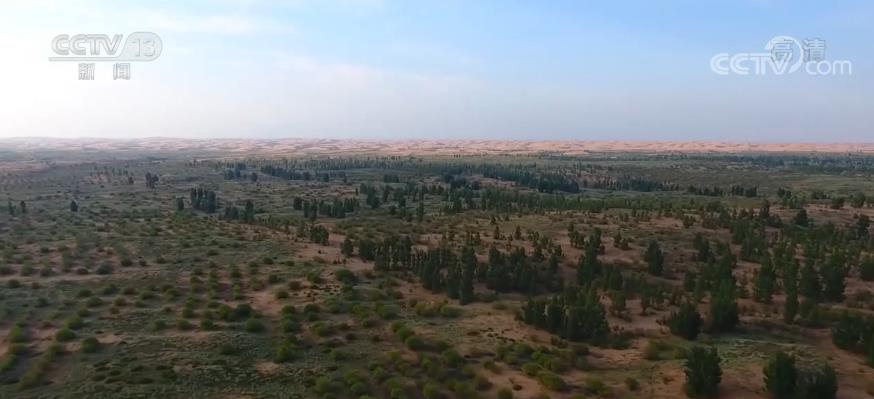 中國防沙治沙取得成效 天然林保護建設近6200萬畝 沙區生態狀況穩中向好
