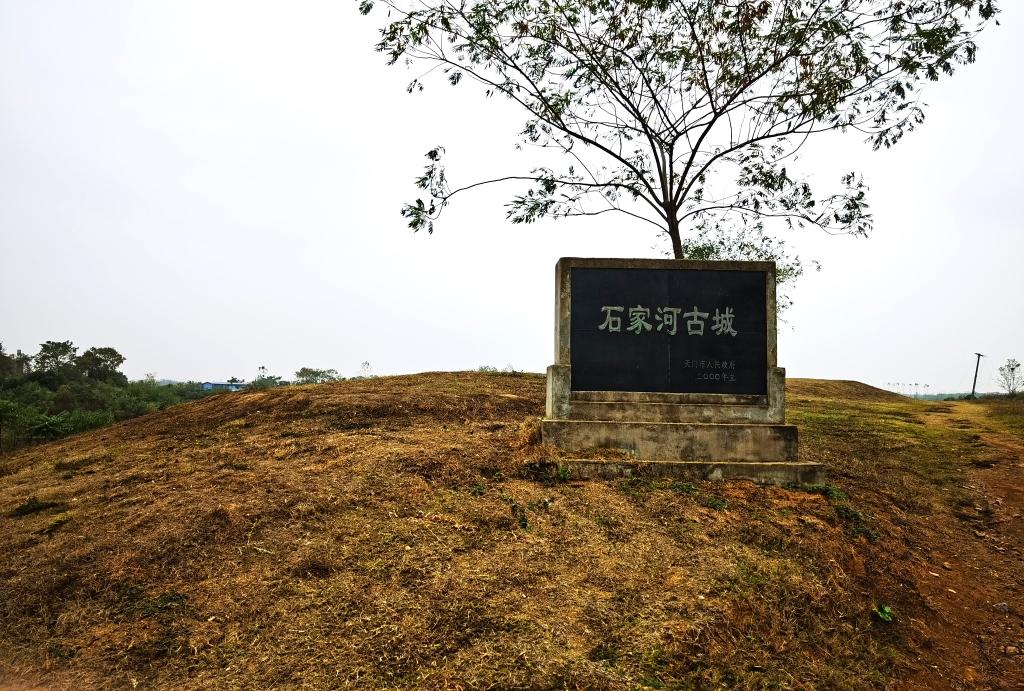 探源中華文明｜湖北石家河遺址：持續見證長江中游文明進程