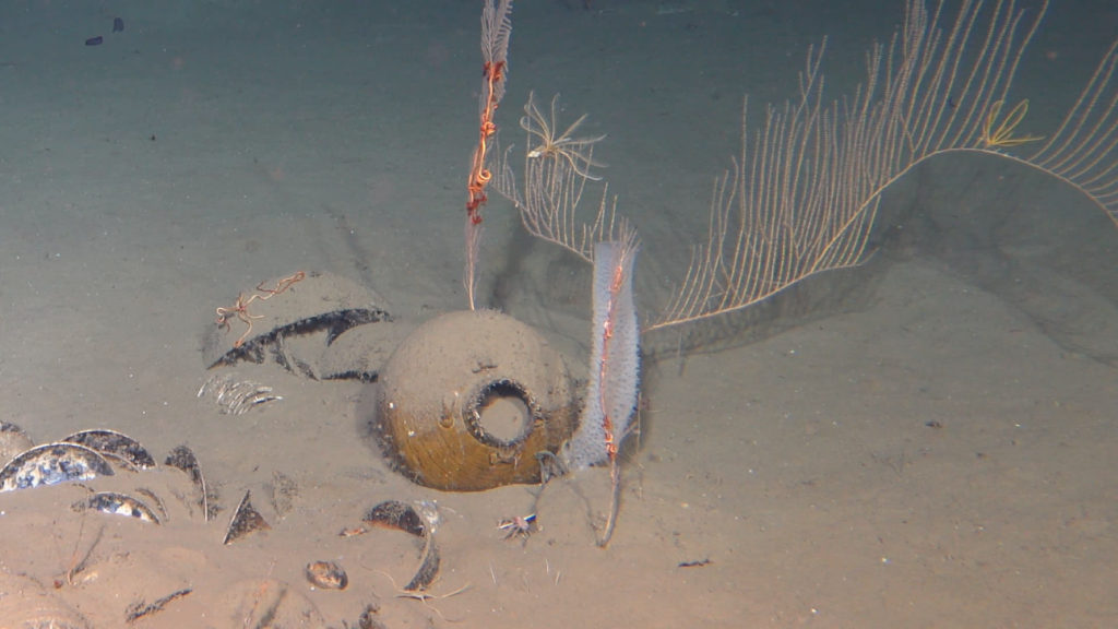 南海西北陸坡沉船遺址第一階段調查：最新海底畫面來了！
