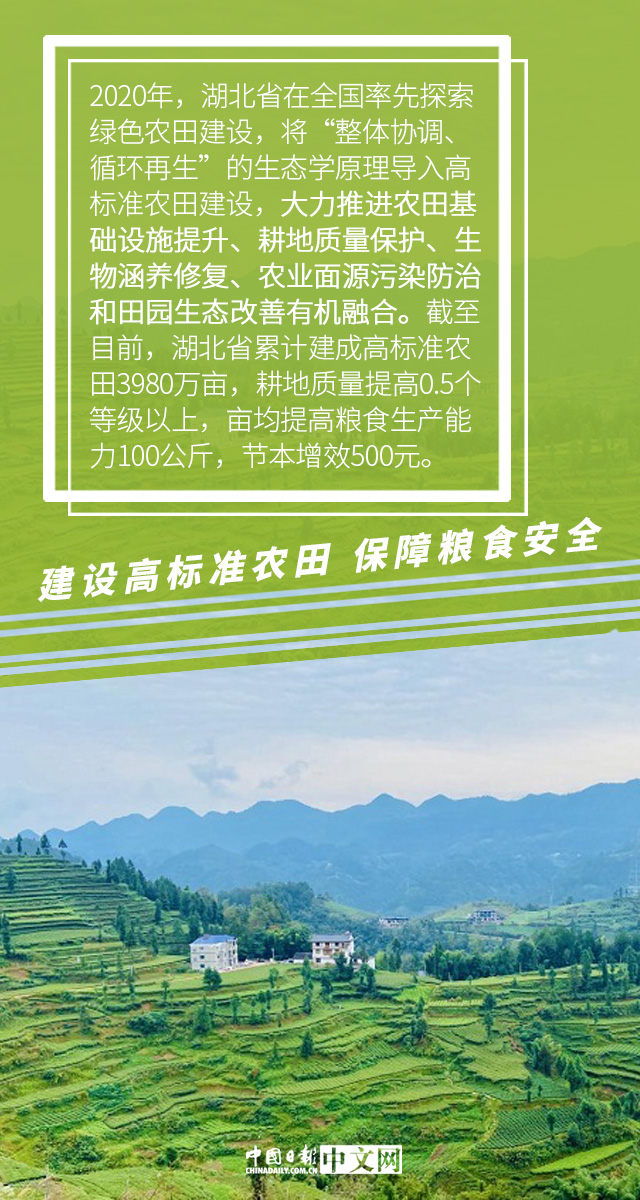 【圖説中國經濟】推進高標準農田建設 夯實糧食安全基礎