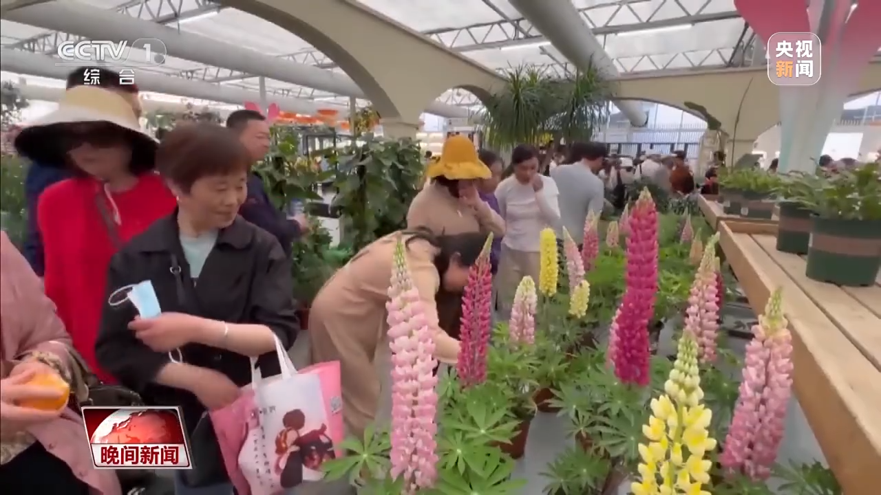 春暖花開時 看“美麗”經濟“一路生花”