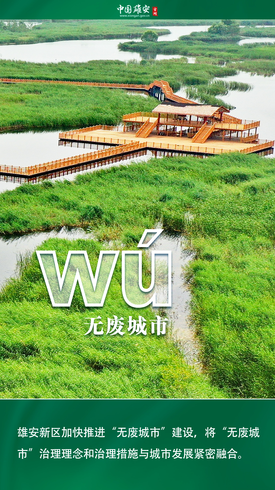 五年·見證雄安丨雄安：我wū wú wǔ wù歲啦！