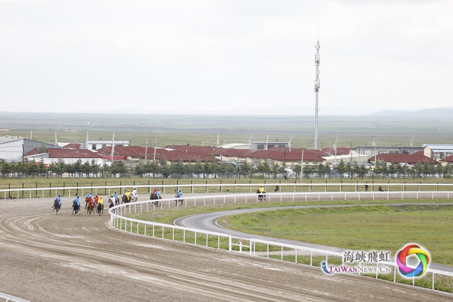 兩岸媒體人走進甘南體驗賽馬活動