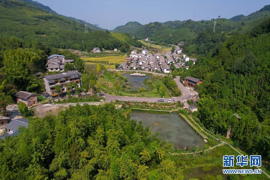 竹海、民宿、美食 重慶建設生態宜居美麗鄉村觀察